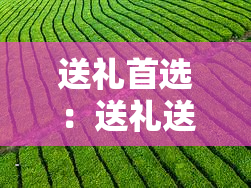 送礼首选：送礼送普洱茶，品味健生活