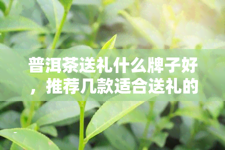 普洱茶送礼什么牌子好，推荐几款适合送礼的高品质普洱茶