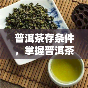 普洱茶存条件，掌握普洱茶的正确存条件，让其口感更佳！