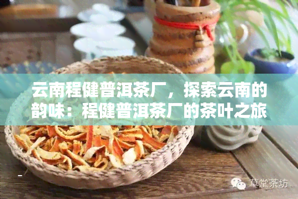 云南程健普洱茶厂，探索云南的韵味：程健普洱茶厂的茶叶之旅