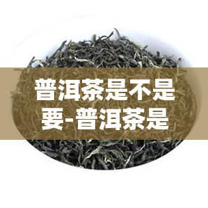 普洱茶是不是要-普洱茶是不是要放久了才好喝