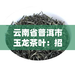 云南省普洱市玉龙茶叶：招聘与联系方式