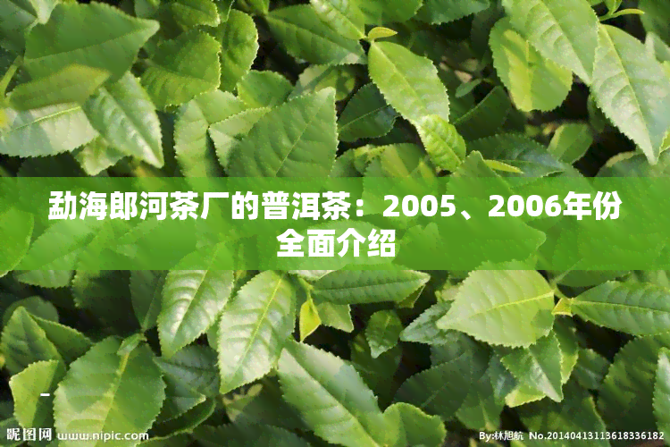 勐海郎河茶厂的普洱茶：2005、2006年份全面介绍