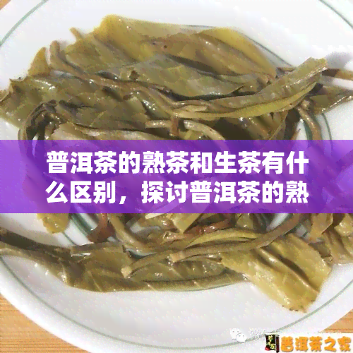 普洱茶的熟茶和生茶有什么区别，探讨普洱茶的熟茶与生茶的区别