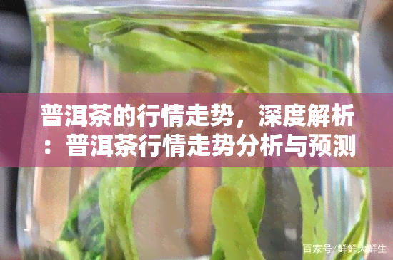 普洱茶的行情走势，深度解析：普洱茶行情走势分析与预测