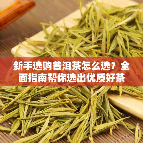 新手选购普洱茶怎么选？全面指南帮你选出优质好茶！