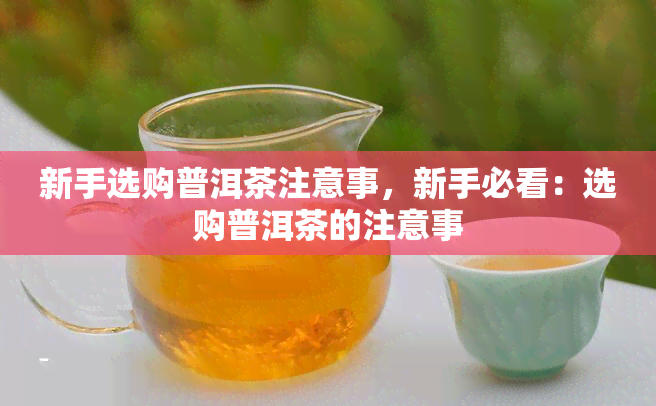 新手选购普洱茶注意事，新手必看：选购普洱茶的注意事