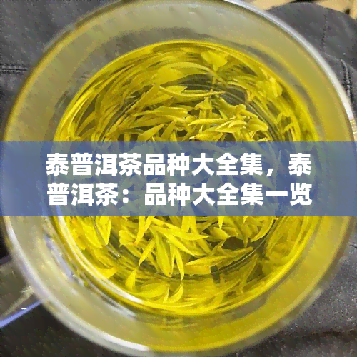 泰普洱茶品种大全集，泰普洱茶：品种大全集一览