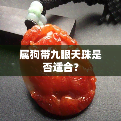 属狗带九眼天珠是否适合？