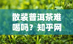 散装普洱茶难喝吗？知乎网友分析原因