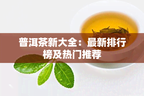 普洱茶新大全：最新排行榜及热门推荐