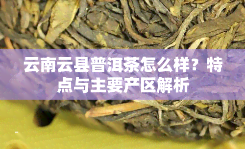 云南云县普洱茶怎么样？特点与主要产区解析