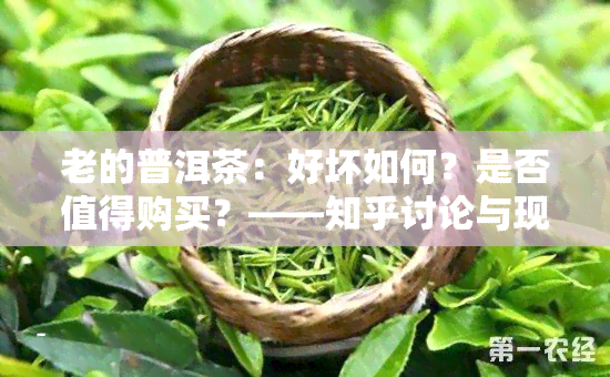 老的普洱茶：好坏如何？是否值得购买？——知乎讨论与现状分析