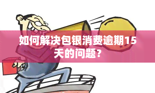 如何解决包银消费逾期15天的问题？