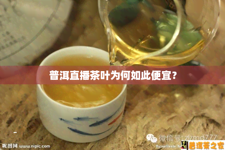 普洱直播茶叶为何如此便宜？