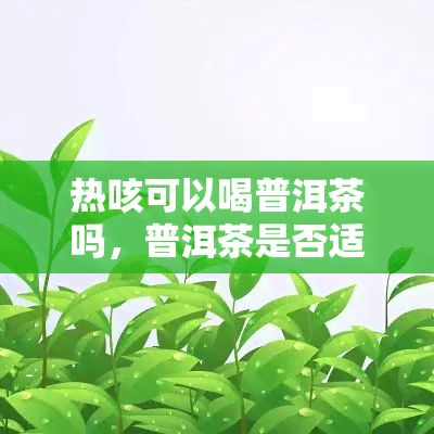 热咳可以喝普洱茶吗，普洱茶是否适合缓解热咳嗽？