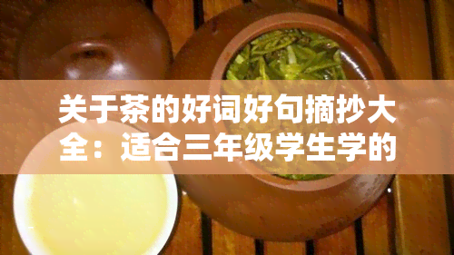 关于茶的好词好句摘抄大全：适合三年级学生学的精美语录