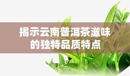 揭示云南普洱茶滋味的独特品质特点