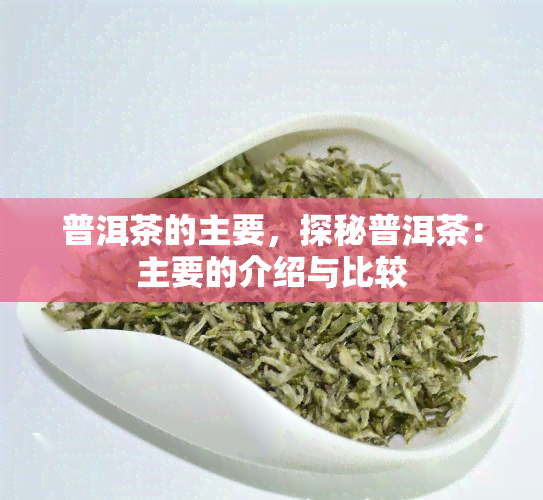 普洱茶的主要，探秘普洱茶：主要的介绍与比较