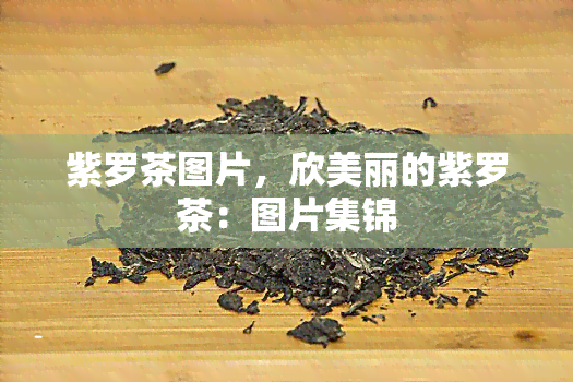 紫罗茶图片，欣美丽的紫罗茶：图片集锦