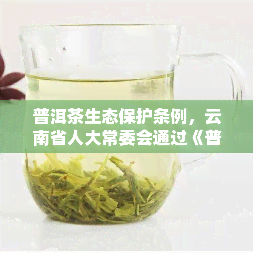 普洱茶生态保护条例，云南省人大常委会通过《普洱茶生态保护条例》