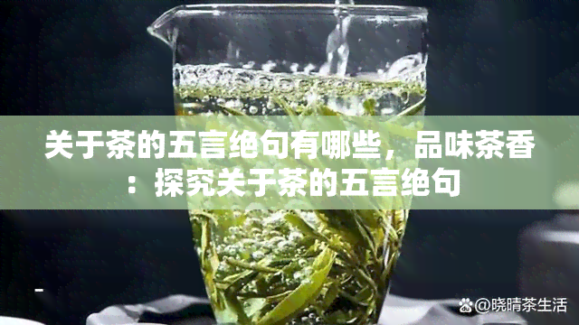 关于茶的五言绝句有哪些，品味茶香：探究关于茶的五言绝句