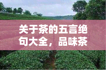 关于茶的五言绝句大全，品味茶香：关于茶的五言绝句大全