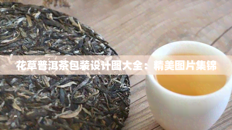 花草普洱茶包装设计图大全：精美图片集锦