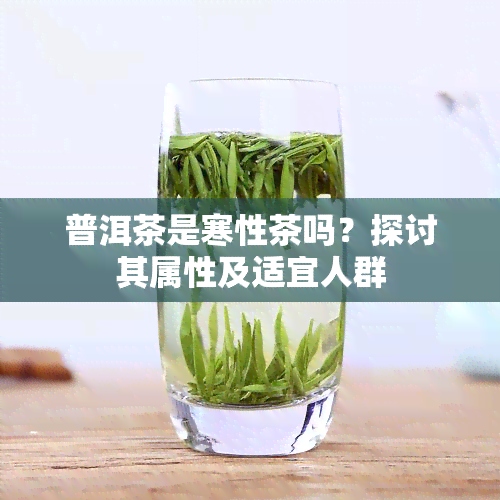 普洱茶是寒性茶吗？探讨其属性及适宜人群