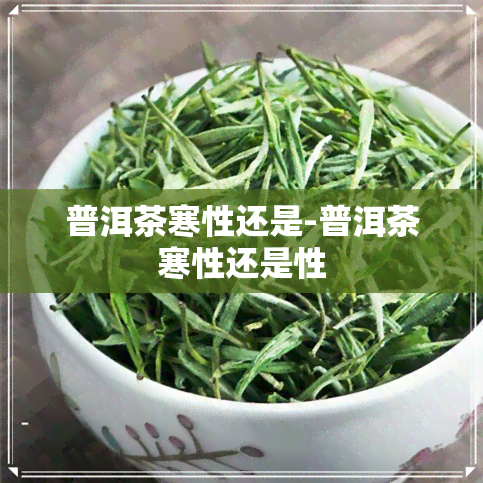 普洱茶寒性还是-普洱茶寒性还是性