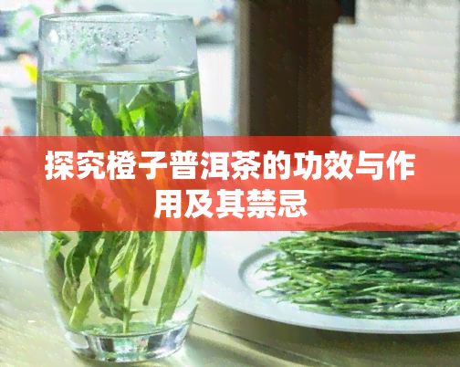 探究橙子普洱茶的功效与作用及其禁忌