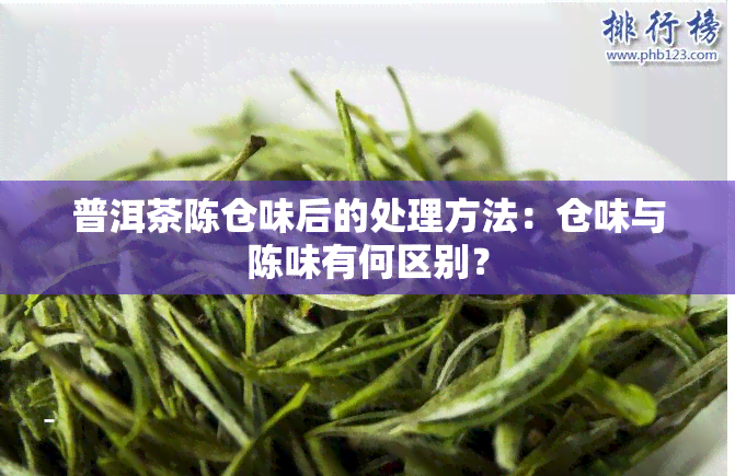 普洱茶陈仓味后的处理方法：仓味与陈味有何区别？