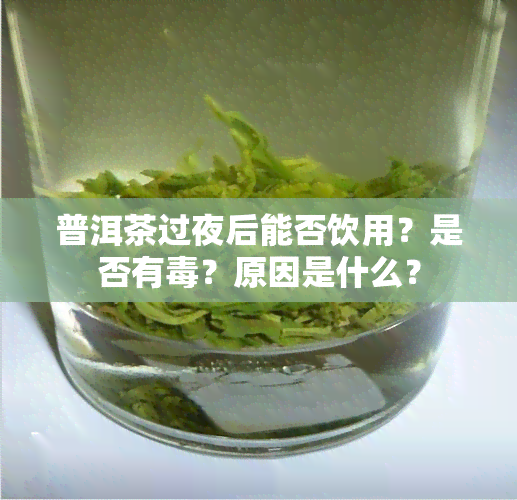 普洱茶过夜后能否饮用？是否有？原因是什么？