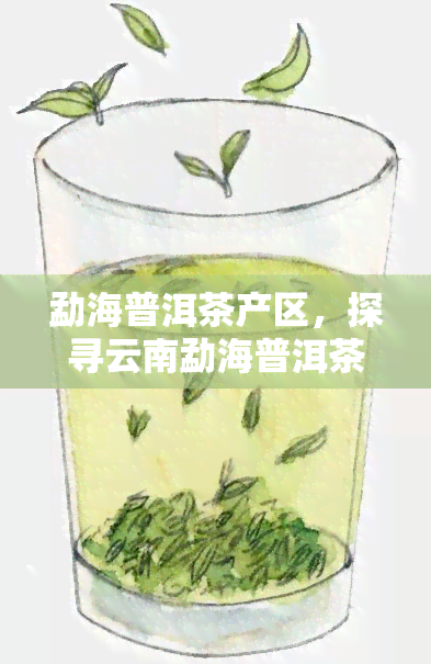 勐海普洱茶产区，探寻云南勐海普洱茶产区的独特魅力与风味