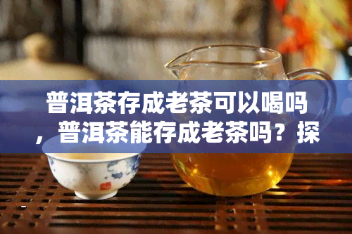 普洱茶存成老茶可以喝吗，普洱茶能存成老茶吗？探讨其饮用价值与方法