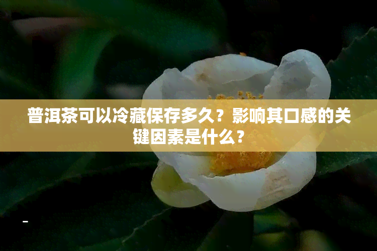 普洱茶可以冷藏保存多久？影响其口感的关键因素是什么？