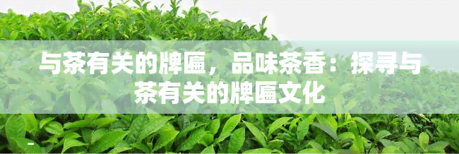 与茶有关的牌匾，品味茶香：探寻与茶有关的牌匾文化