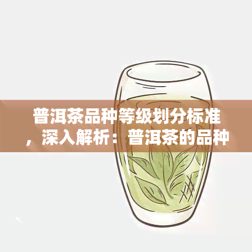 普洱茶品种等级划分标准，深入解析：普洱茶的品种等级划分标准