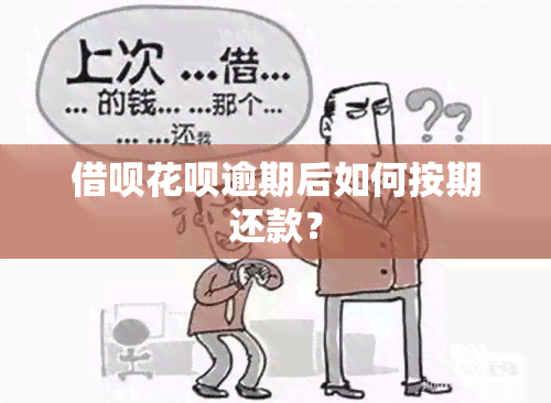 借呗花呗逾期后如何按期还款？