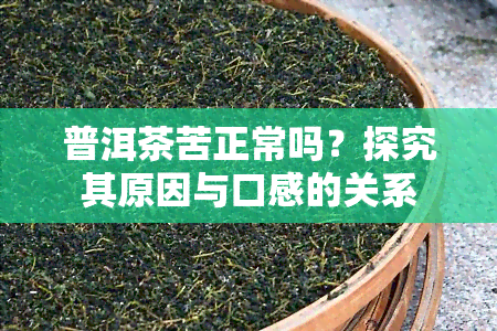 普洱茶苦正常吗？探究其原因与口感的关系