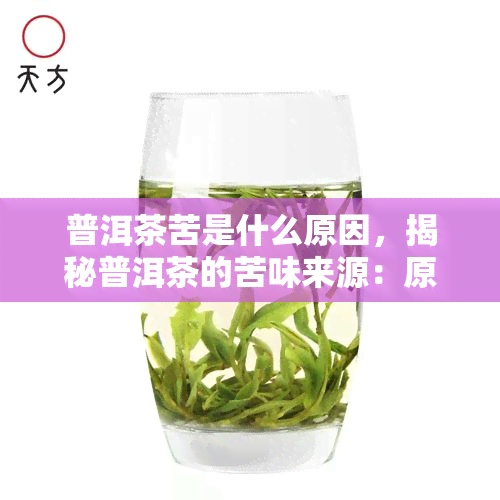 普洱茶苦是什么原因，揭秘普洱茶的苦味来源：原因解析与应对策略