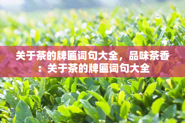 关于茶的牌匾词句大全，品味茶香：关于茶的牌匾词句大全