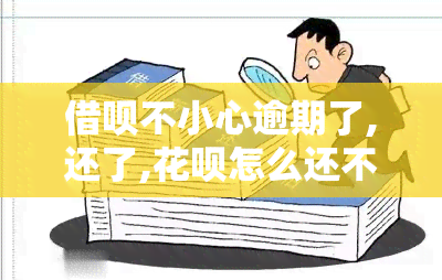 借呗不小心逾期了,还了,花呗怎么还不能用，解决方法：借呗逾期已还款，但花呗仍无法使用？