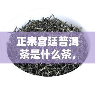 正宗宫廷普洱茶是什么茶，揭秘正宗宫廷普洱茶：它到底是什么茶？