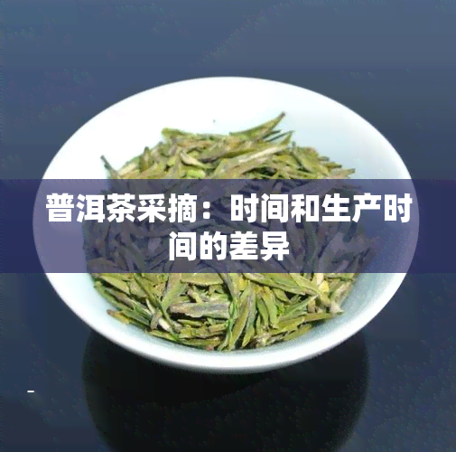 普洱茶采摘：时间和生产时间的差异