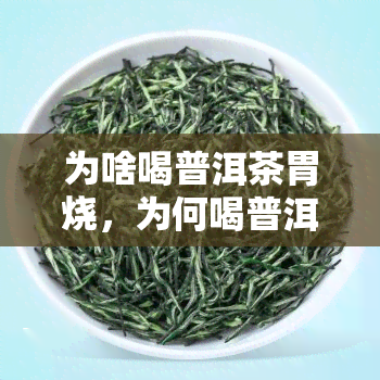 为啥喝普洱茶胃烧，为何喝普洱茶会出现胃部不适？