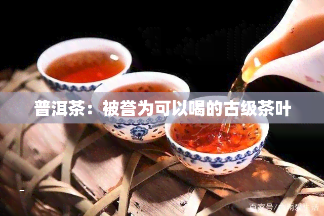 普洱茶：被誉为可以喝的古级茶叶