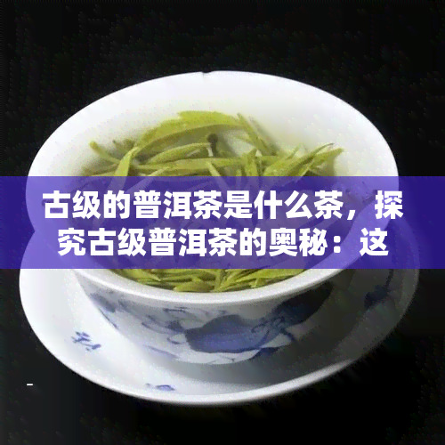 古级的普洱茶是什么茶，探究古级普洱茶的奥秘：这是一种什么样的茶？