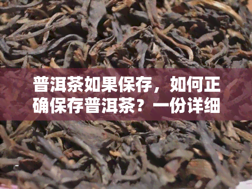 普洱茶如果保存，如何正确保存普洱茶？一份详细的指南