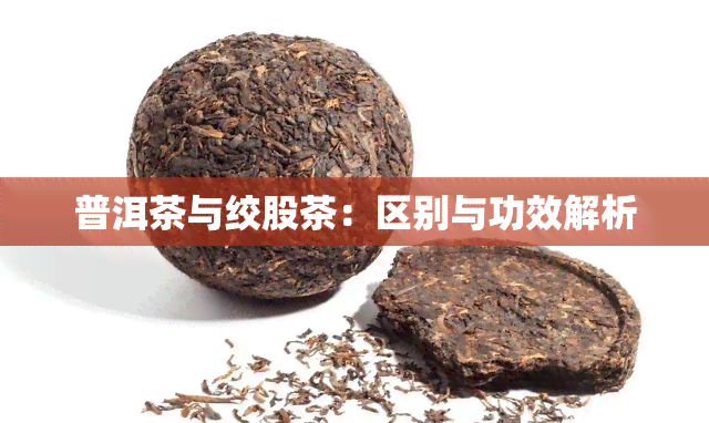 普洱茶与绞股茶：区别与功效解析